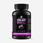 Elderberry Shilajit Gummies