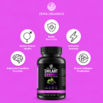 Elderberry Shilajit Gummies - Image 2